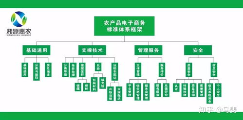 构建智能引领的农产品电商标准体系 标准化、系统化与工程化路径